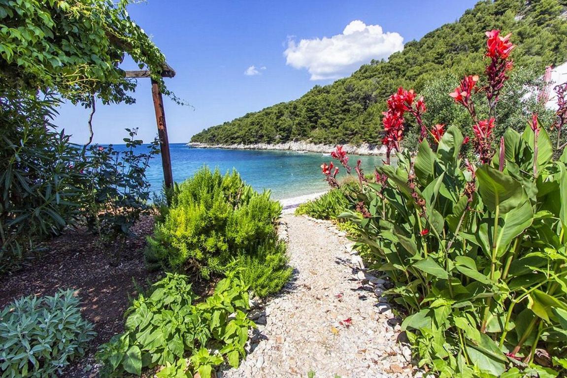 Seaside Secluded Apartments Cove Skozanje, Hvar - 5713 Gdinj Luaran gambar